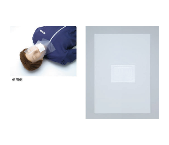 フェイシー LM-087 | 高研|教育用モデルサイト