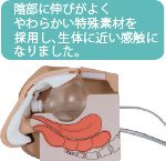 女浣腸 女性導尿浣腸モデル LM-109F | 高研｜教育用モデルサイト