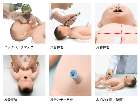 新生児蘇生トレーニングマネキン モデル LM-089 新生児蘇生モデル LM